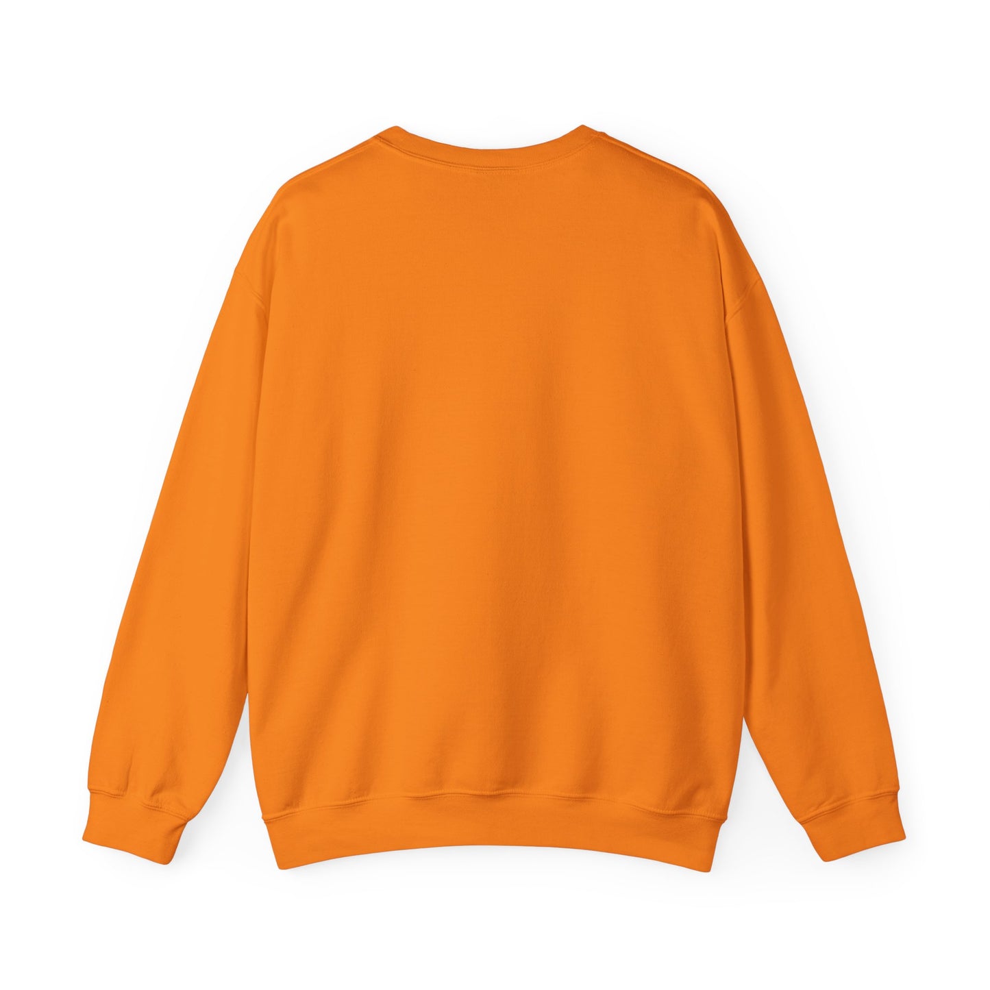 Ghost Selfie Sweatshirt — Cute Cat & Ghost Graphic Crewneck for Halloween